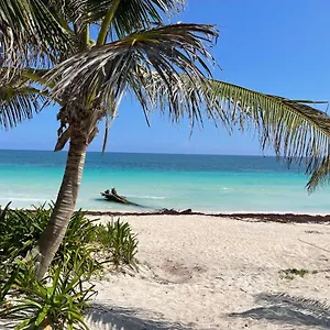 Casa Phoenix 5*, Tulum México